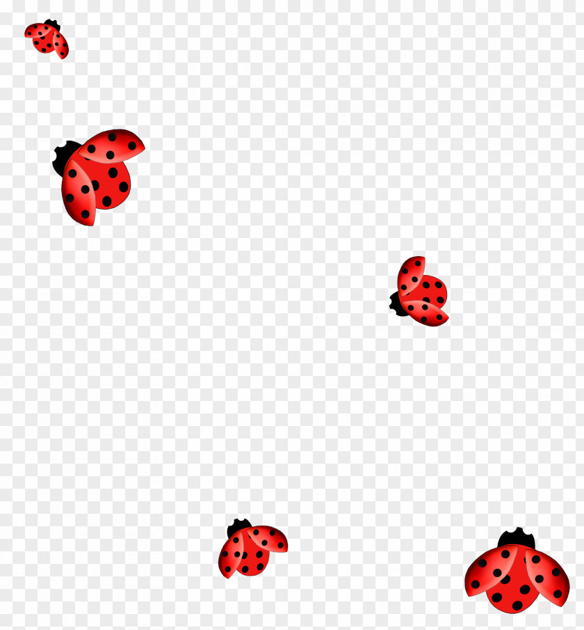 Insect Ladybird Clip Art PNG