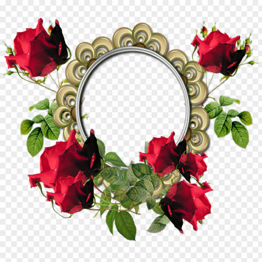Red Flower Frame Photos Picture Download PNG