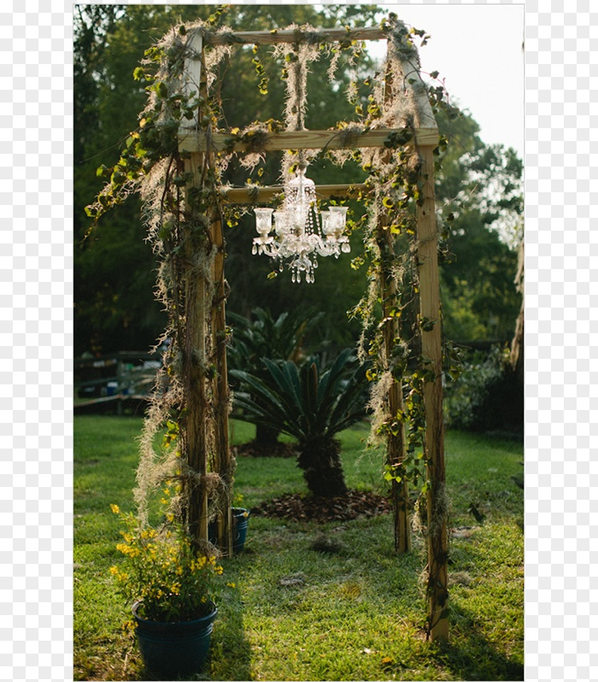 Wedding Stage Garden Chandelier Candelabra Elegance PNG