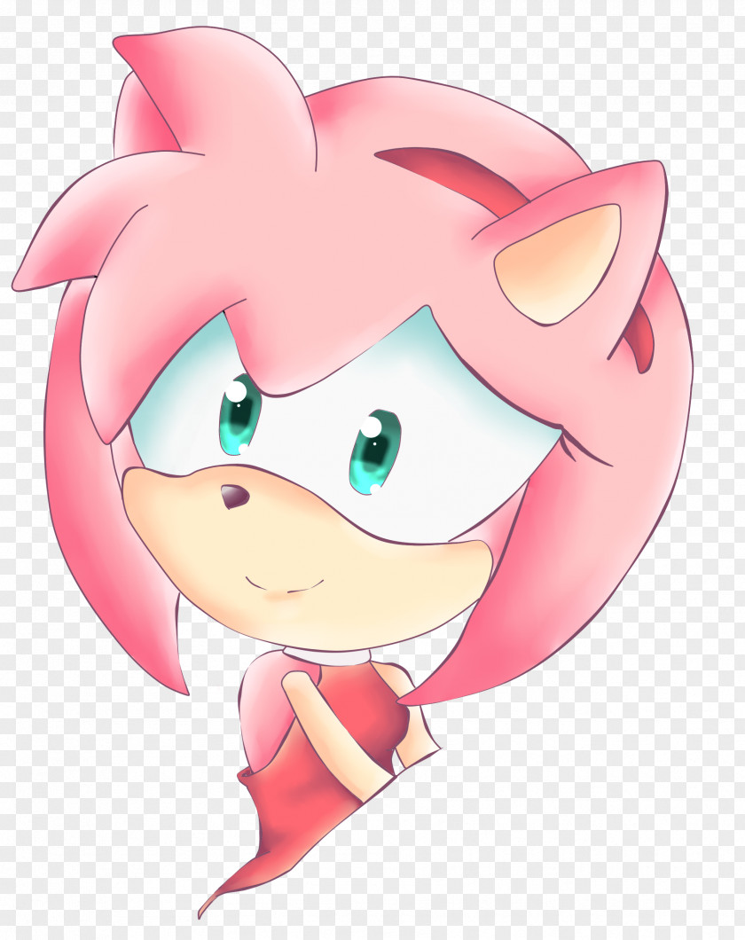 22nd Amy Rose Sonic The Hedgehog Shadow Tails Princess Sally Acorn PNG
