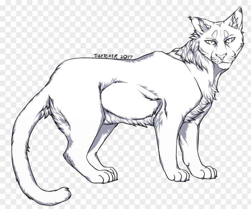 Cat Sketch Whiskers Wildcat Big Cougar PNG