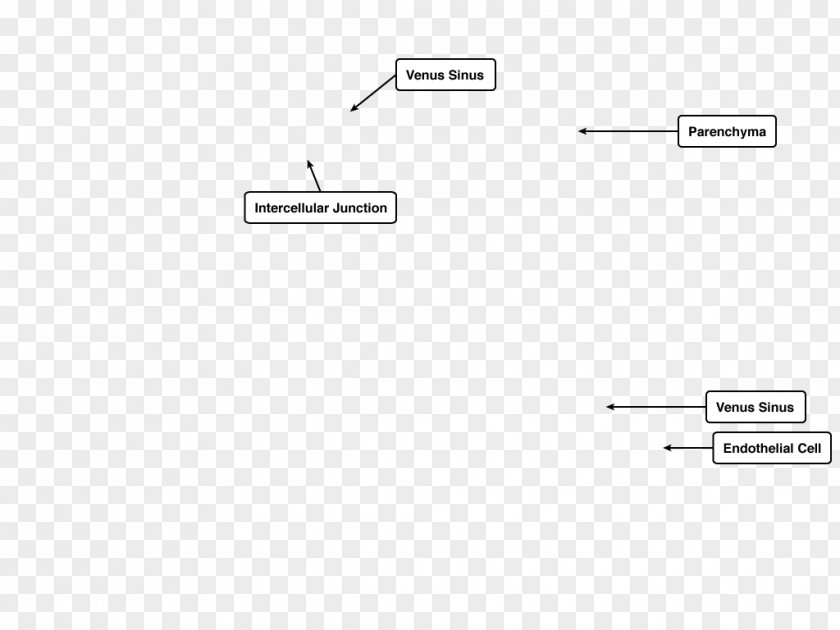 Design Document Line Angle PNG