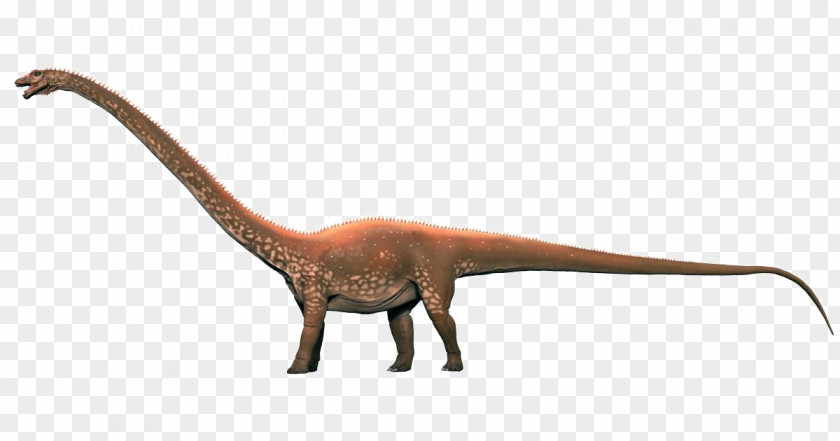 Dinosaur Diplodocus Velociraptor Brachiosaurus Sauropoda PNG