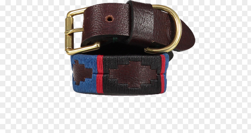 Dog Collars Belt Buckles Strap Leather PNG