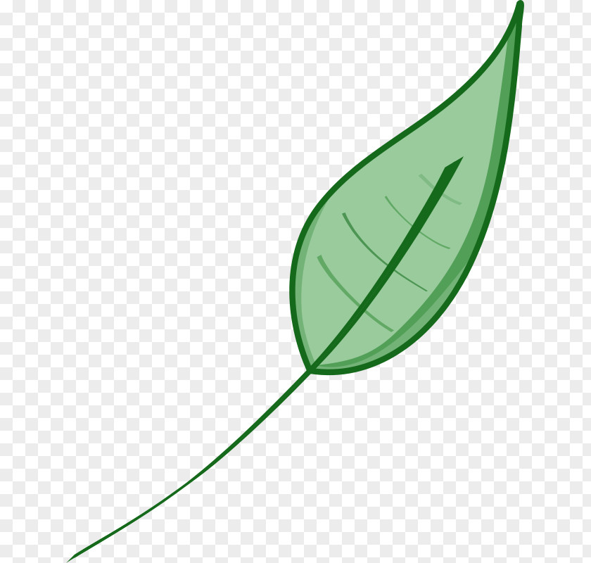 Green Leaf Icon Clip Art PNG