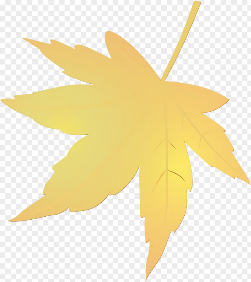 Maple Black Leaf PNG