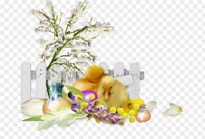 PASQUA Chicken Easter Animation PNG