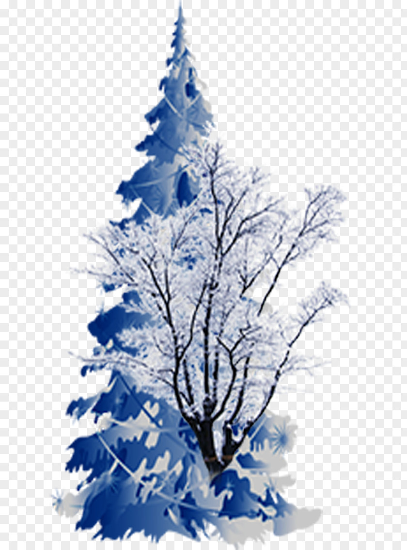 Blue Snow Tree Spruce Christmas PNG