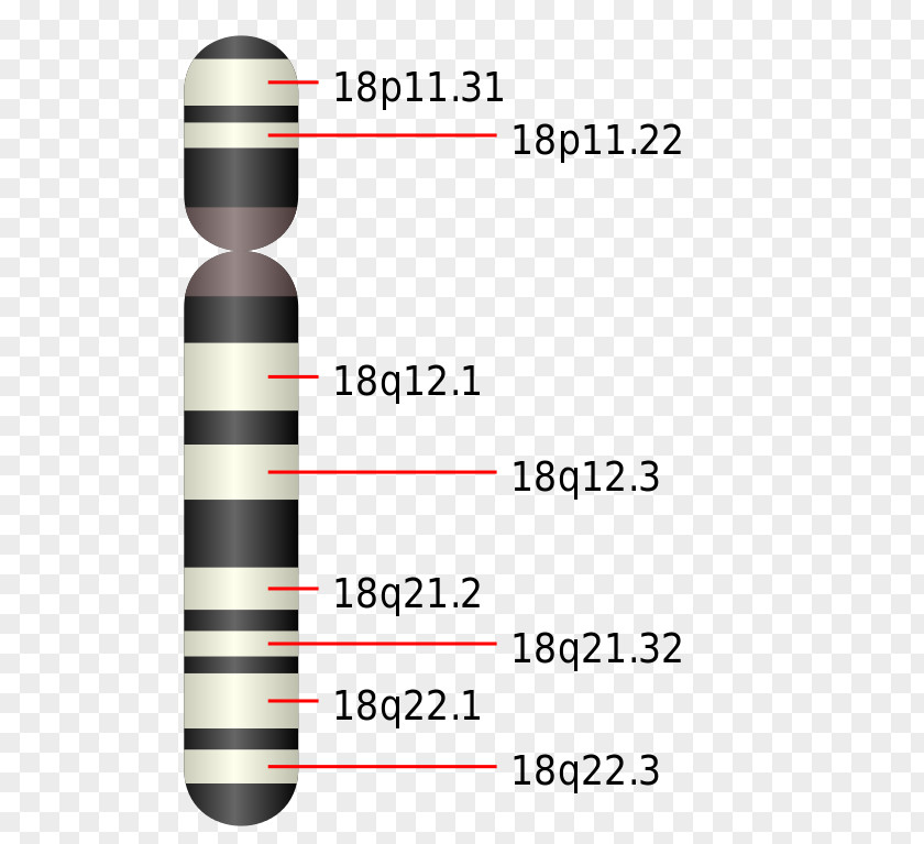 Chromosome Patau Syndrome Product Design Line PNG