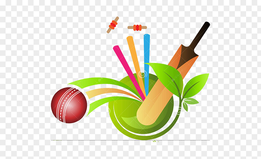 Cricket Big Bash League Indian Premier Balls Sports PNG