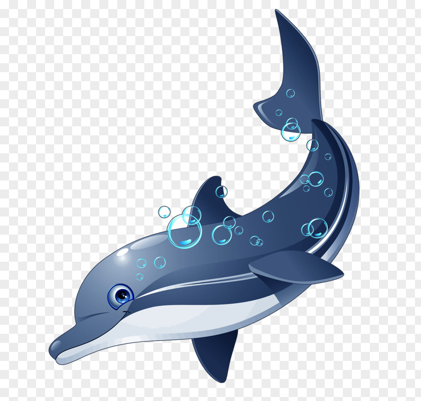 Dolphin Clip Art Image Illustration Drawing PNG
