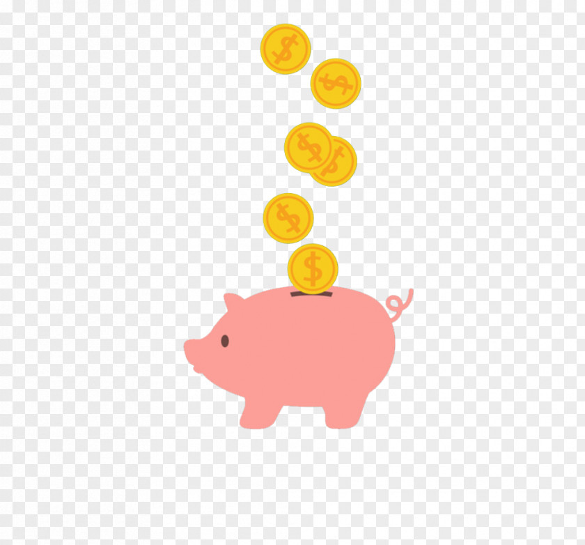 Piggy Bank Saving Coin Domestic Pig PNG