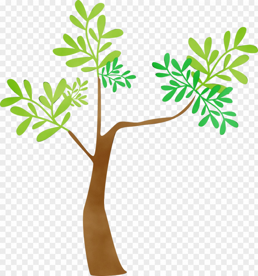 Plant Tree Branch Stem Flower Leaf Line PNG