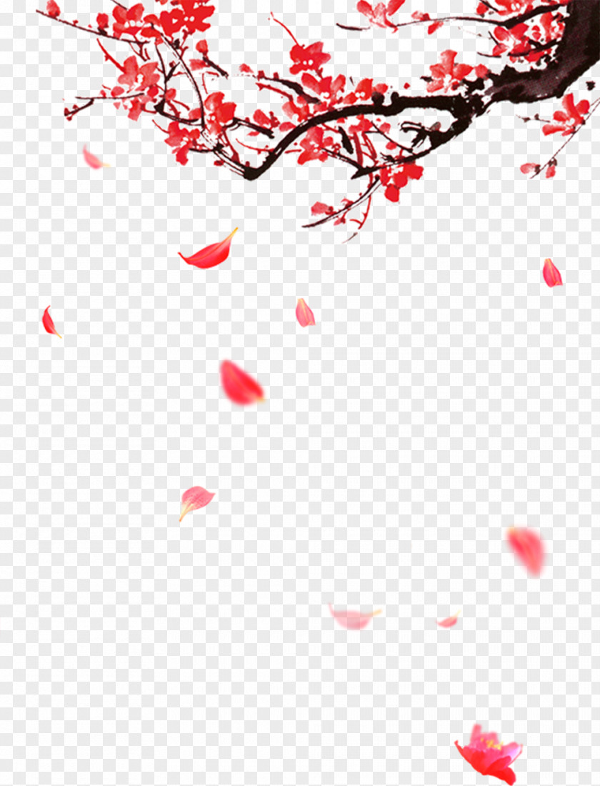 Red Plum Blossom Illustration PNG