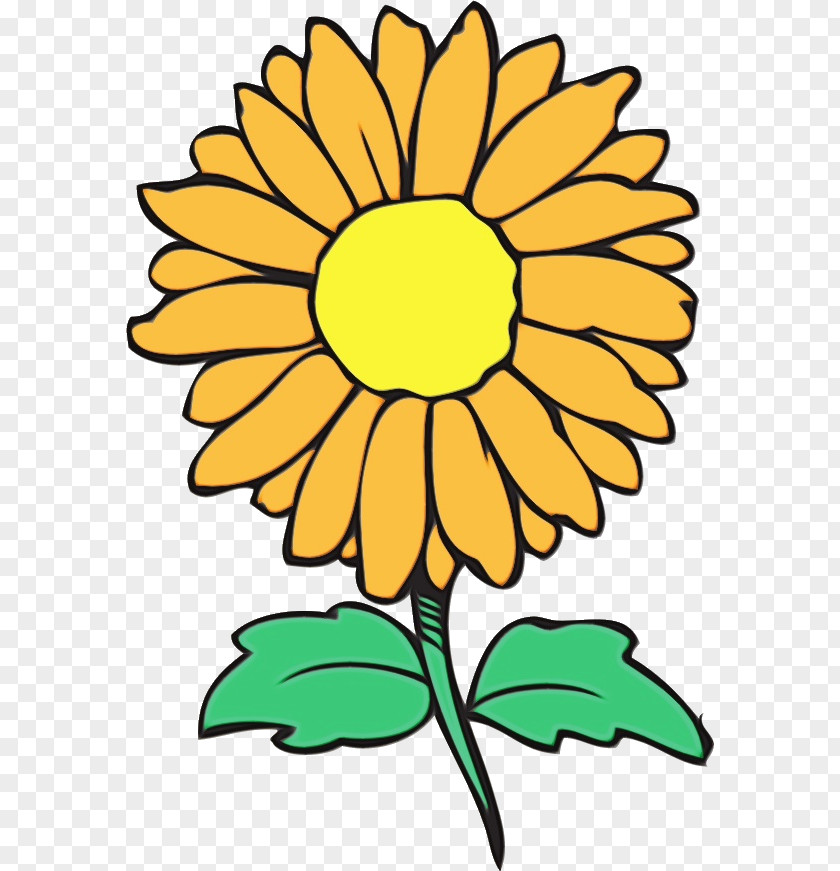 Floral Design PNG