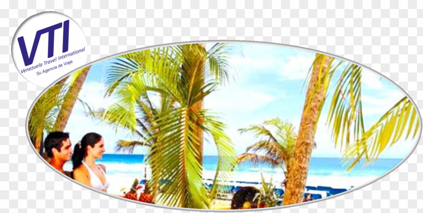 International Tourism Hotel Hesperia Playa El Agua Yaque Beach PNG