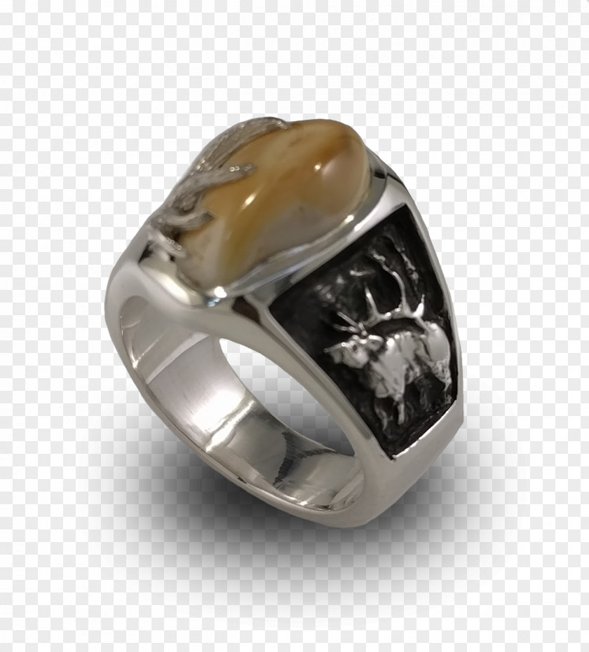 Ivory Wedding Ring Elk Jewellery PNG