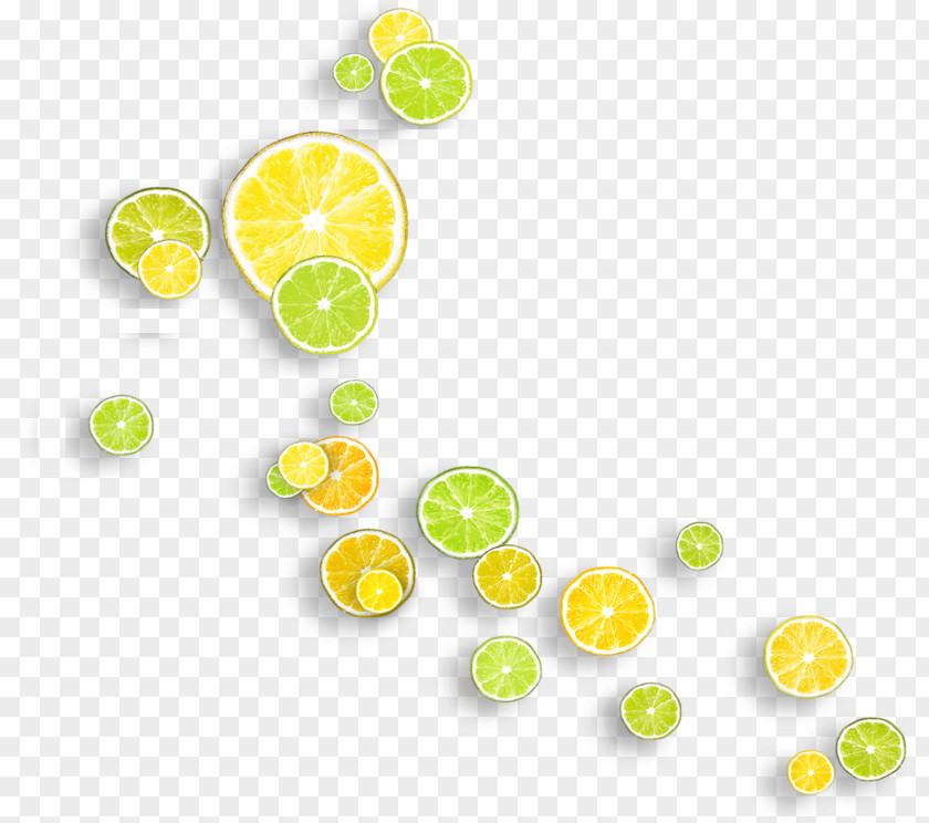 Lemon Yellow Lime Vitamin C PNG