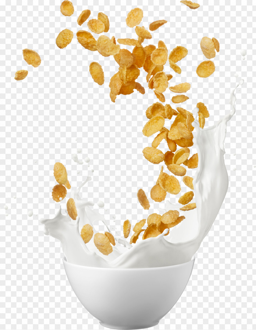 Soy Milk Ingredient Food Cuisine Vegetarian Breakfast Cereal Dish PNG