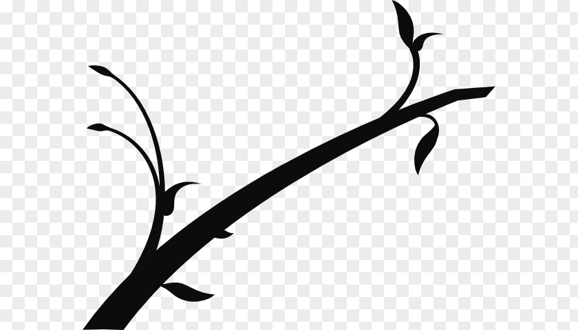Spring Tree Clipart Branch Clip Art PNG