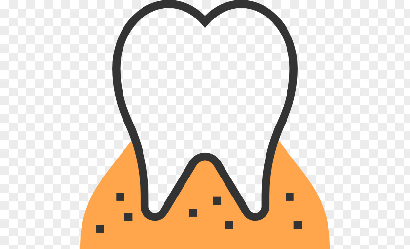 Tooth Anatomy Download Clip Art PNG