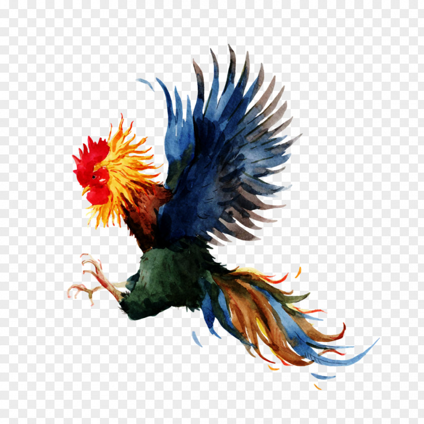 2017 Color Painted Cock Chicken Gamecock Rooster Icon PNG