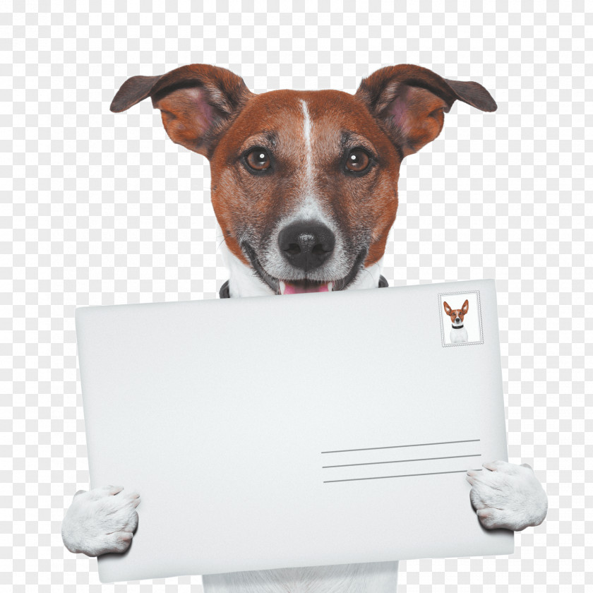 Envelope Mail Dog Walking Pet Sitting Puppy PNG