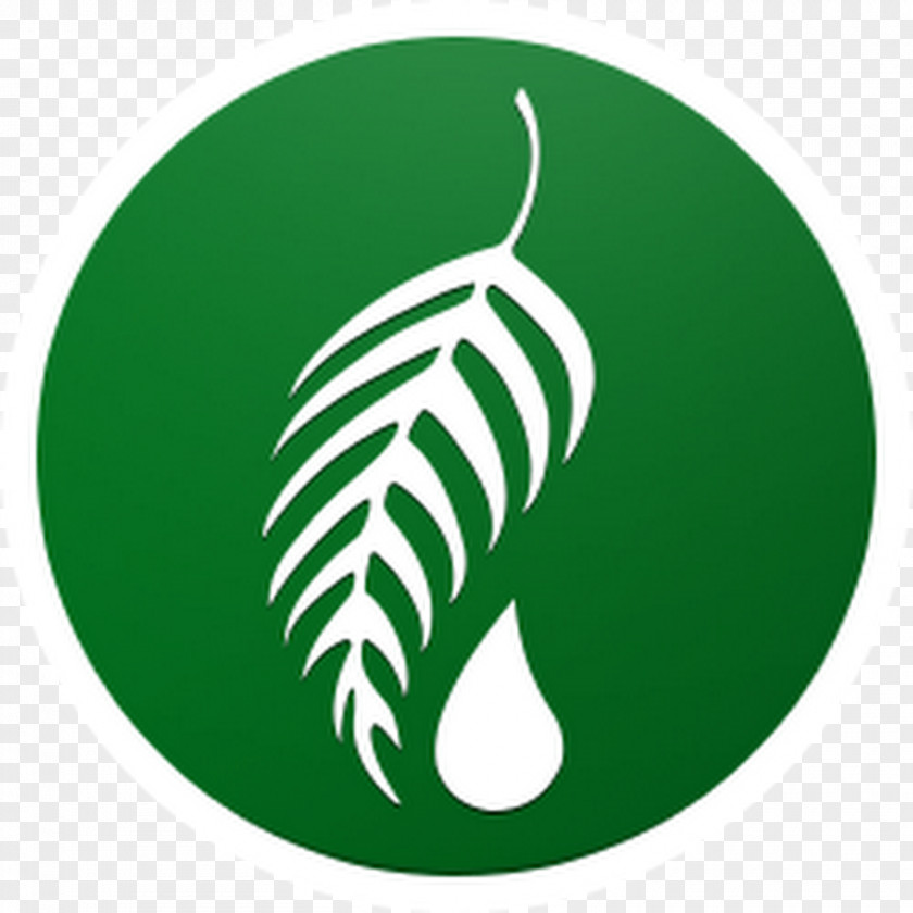 Essential Oil Melaleuca Quinquenervia Logo Narrow-leaved Paperbark Synonyms And Antonyms PNG