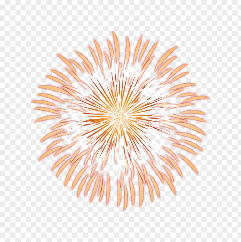 Fireworks Euclidean Vector Computer File PNG