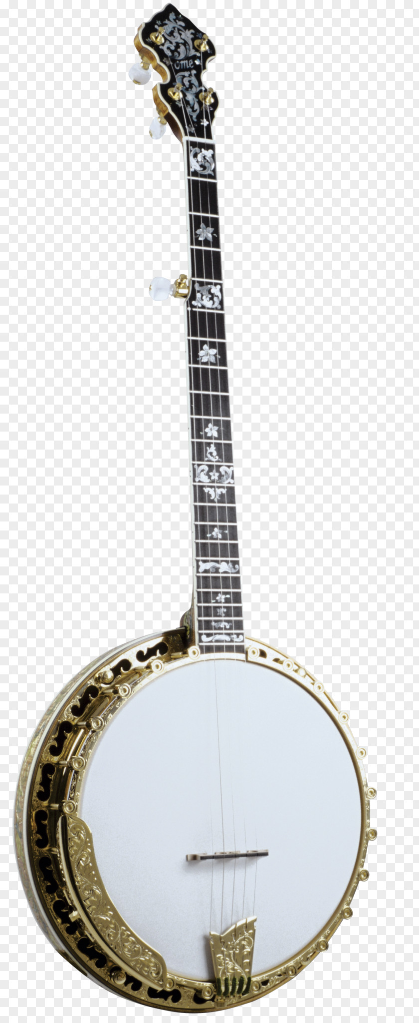 Guitar Banjo Uke Cavaquinho Tiple PNG