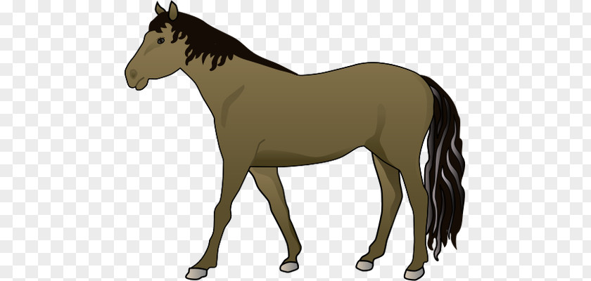 Horse Illustrations Mustang Mule Wild Illustration PNG