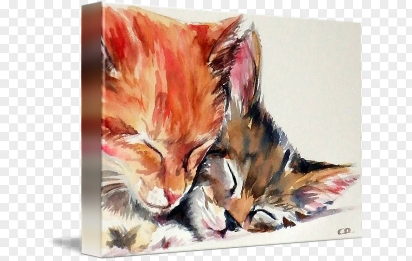 Love Cats Watercolor Painting Kitten Art Printmaking PNG