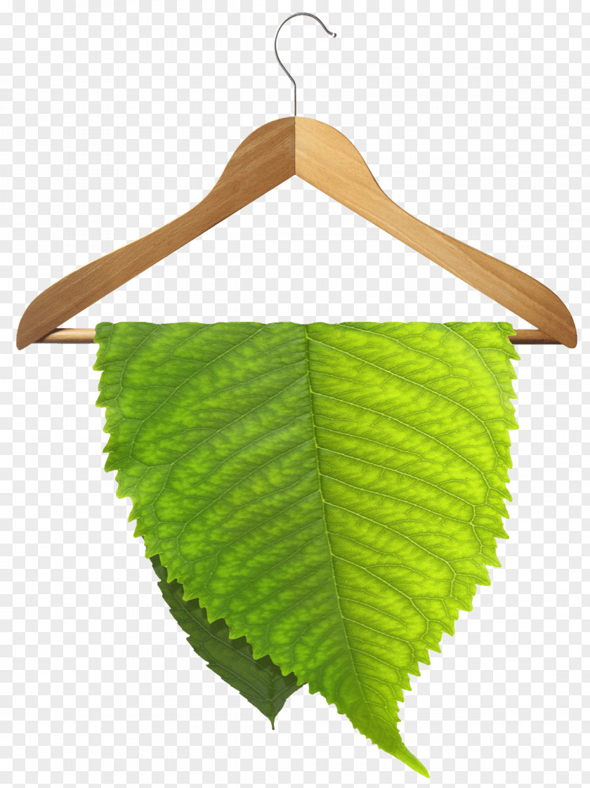 Natural Environment Dry Cleaning Wet Environmentally Friendly Cleaner PNG