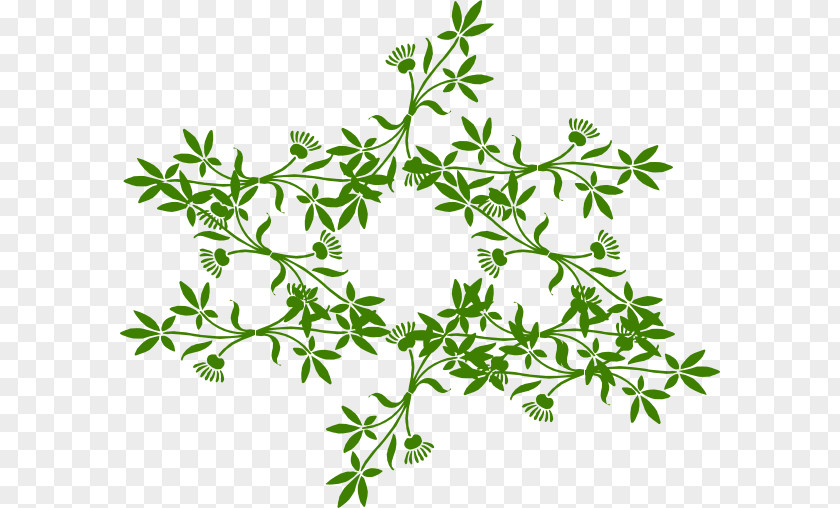 Olive Wreath Flower Clip Art PNG