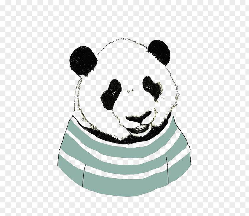 Panda Giant Bear Drawing Art PNG