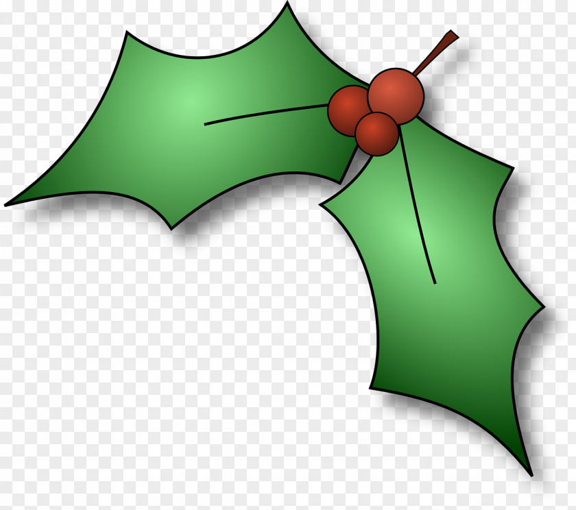 Pepermint Common Holly Christmas Clip Art PNG