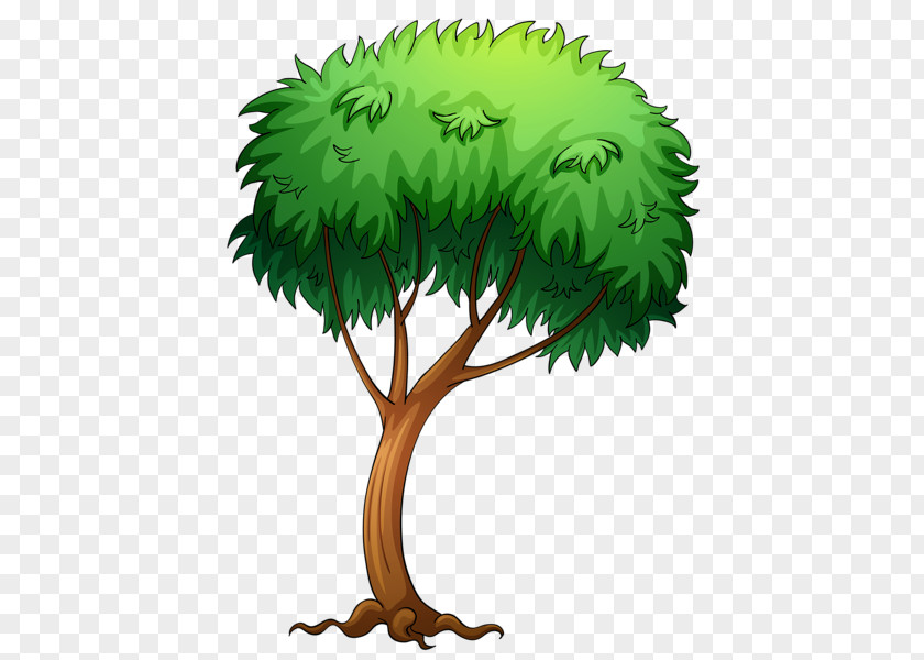 TREE CARTOON Tree Clip Art PNG