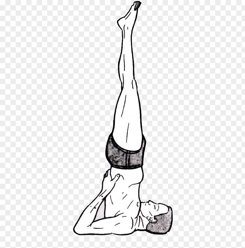 Yoga Sarvangasana Posture Hatha Exercise PNG