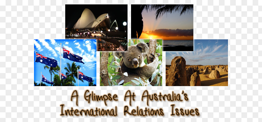 Australian Passport Advertising Koala Collage Desktop Wallpaper Photographic Printing PNG