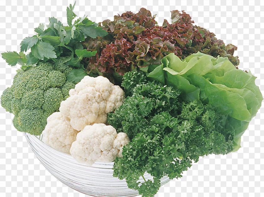 Cauliflower Food Vegetable Antioxidant Fruit PNG