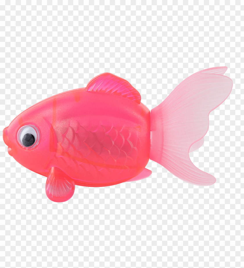 Goldfish Transparent Plastic PNG