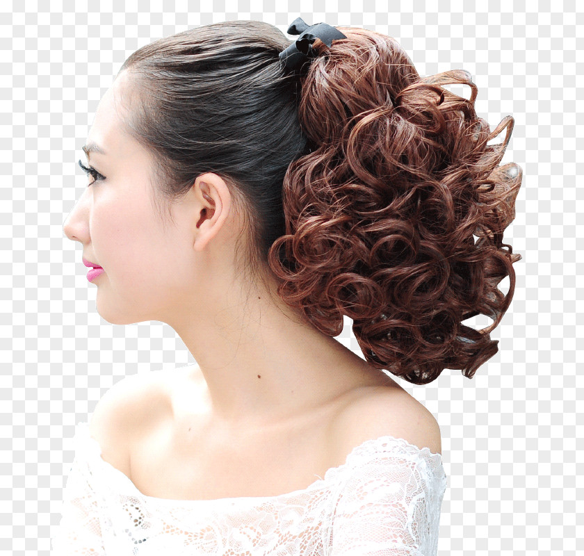 Hair Ponytail Wig Artificial Integrations Barrette PNG