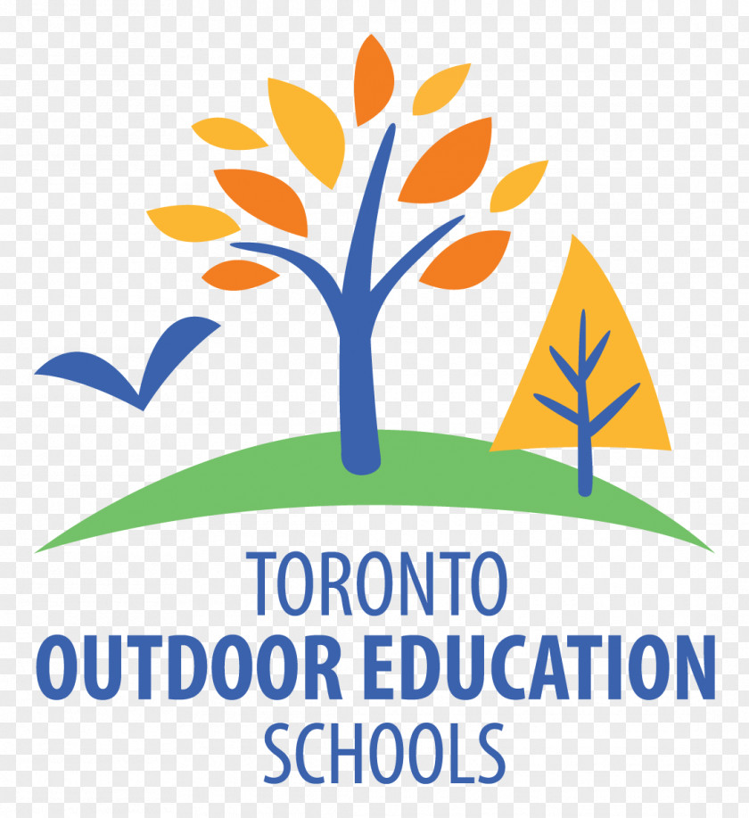 Hillside Toronto District School Board York Region Education Class PNG