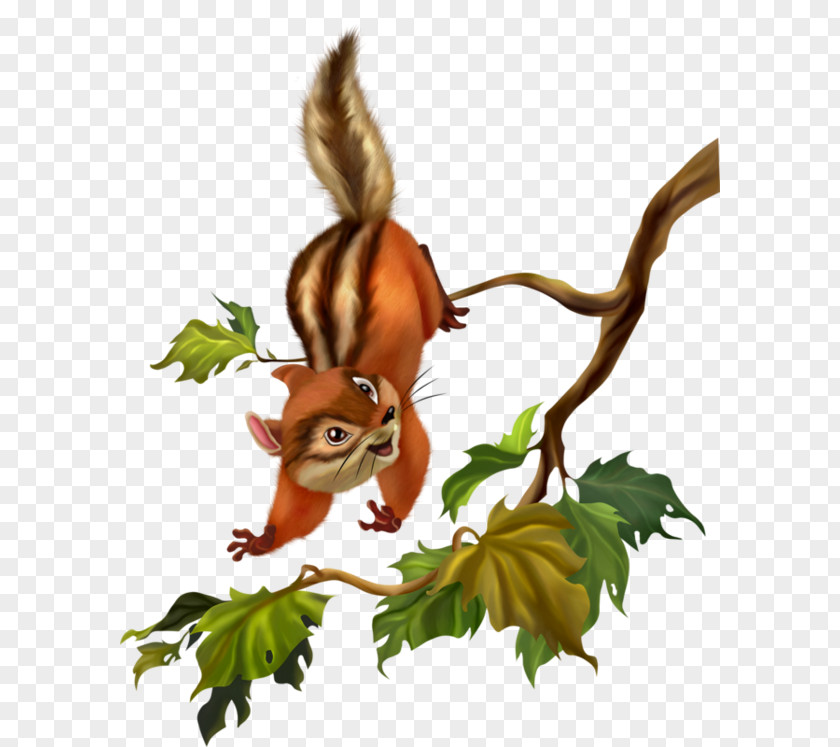 Les Sangliers Tinker Bell Disney Fairies Squirrel Fairy Image PNG