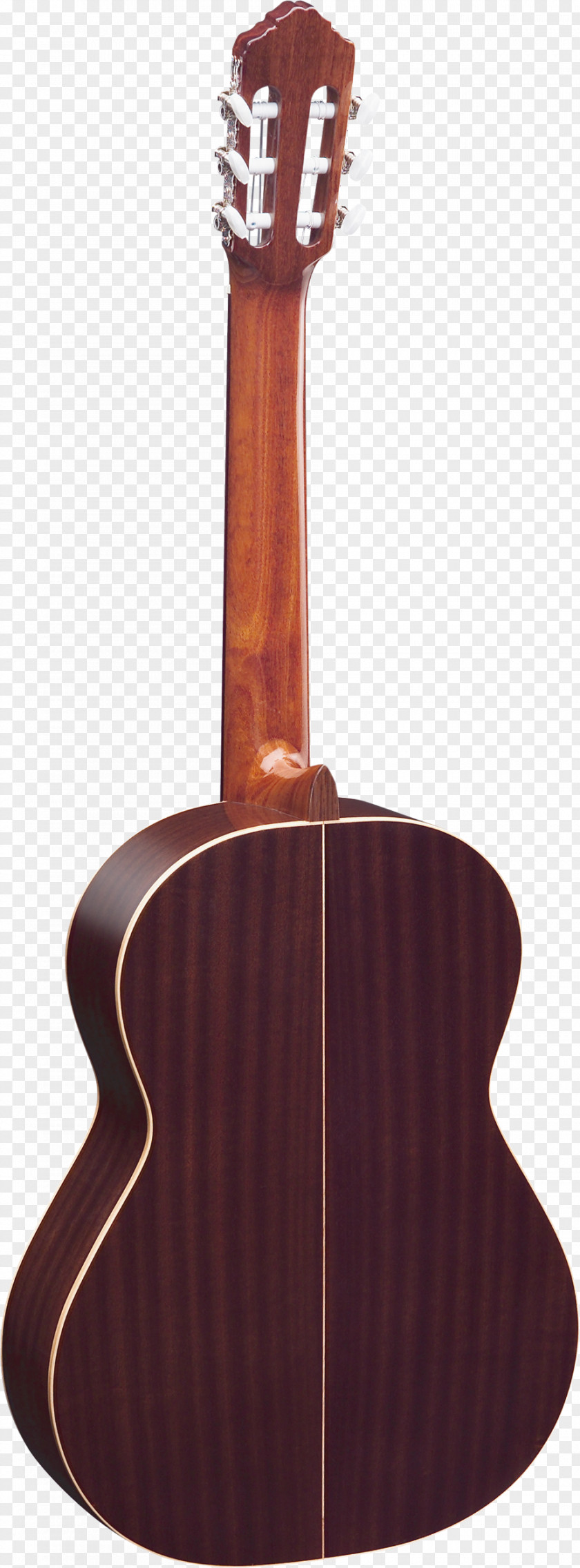 Amancio Ortega Acoustic-electric Guitar Musical Instruments String Acoustic PNG