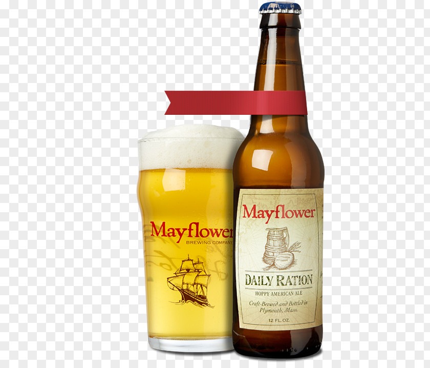 Beer Wheat Bottle Ale Lager PNG