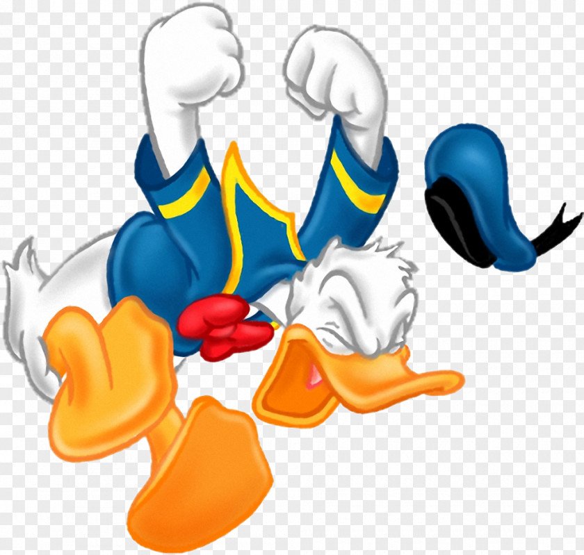 Donald Duck Daisy Animation PNG