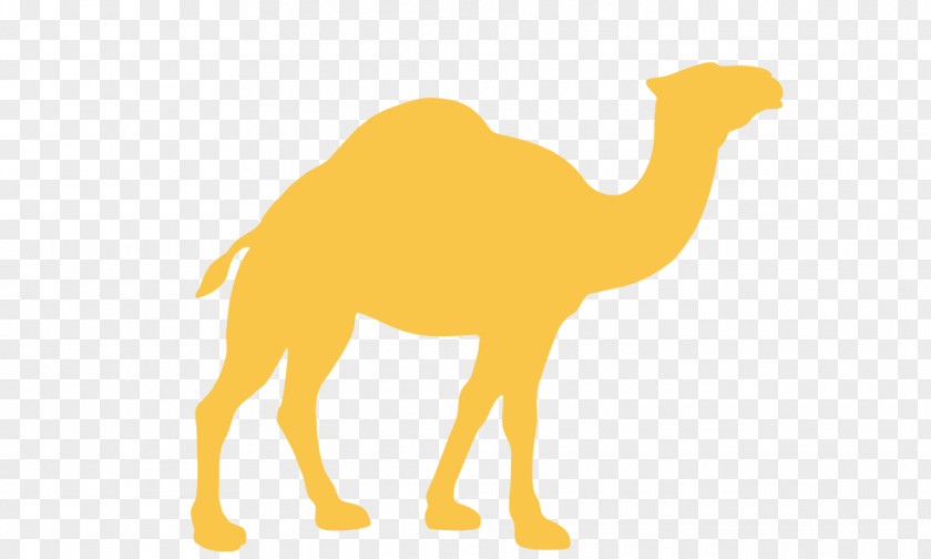 I've Been Lonely Camel Vector Dromedary Silhouette PNG
