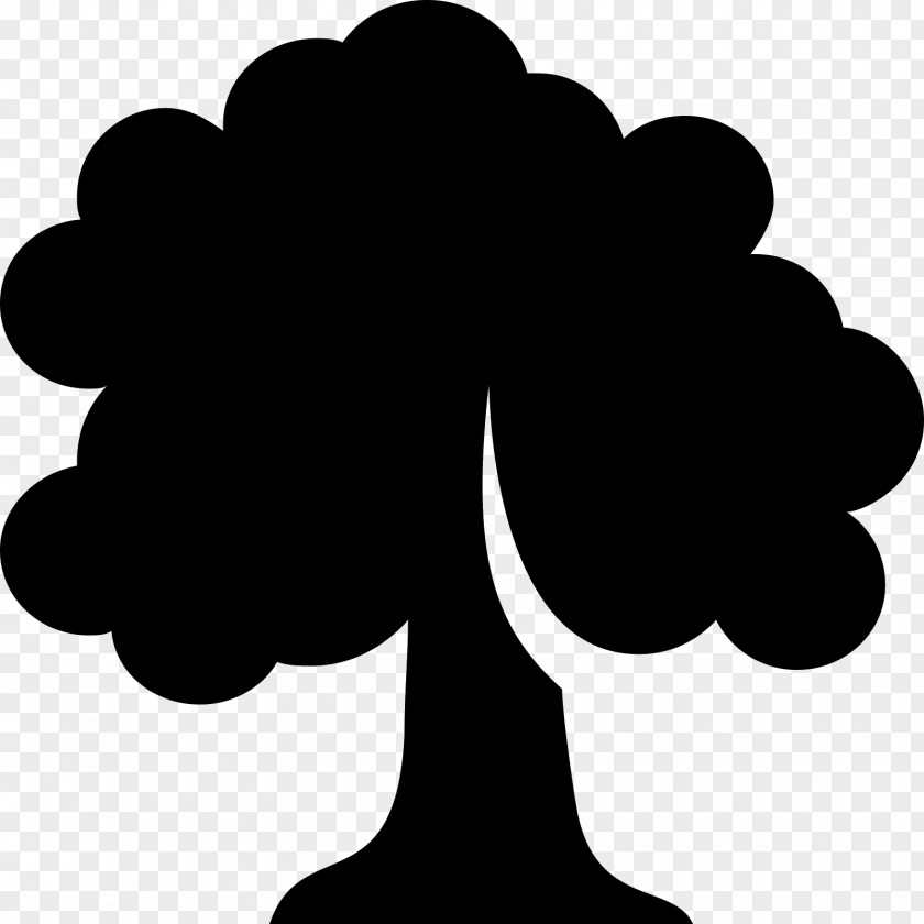 Oak Tree Deciduous PNG