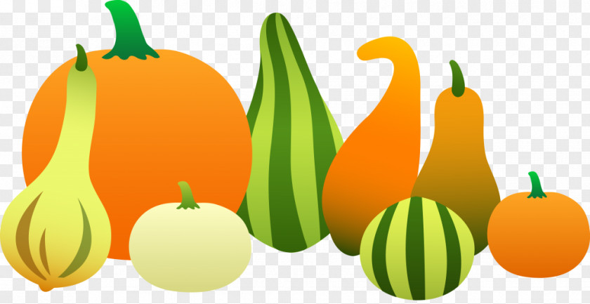 Pumpkin Gourd Vegetable Clip Art PNG